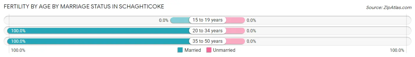Female Fertility by Age by Marriage Status in Schaghticoke