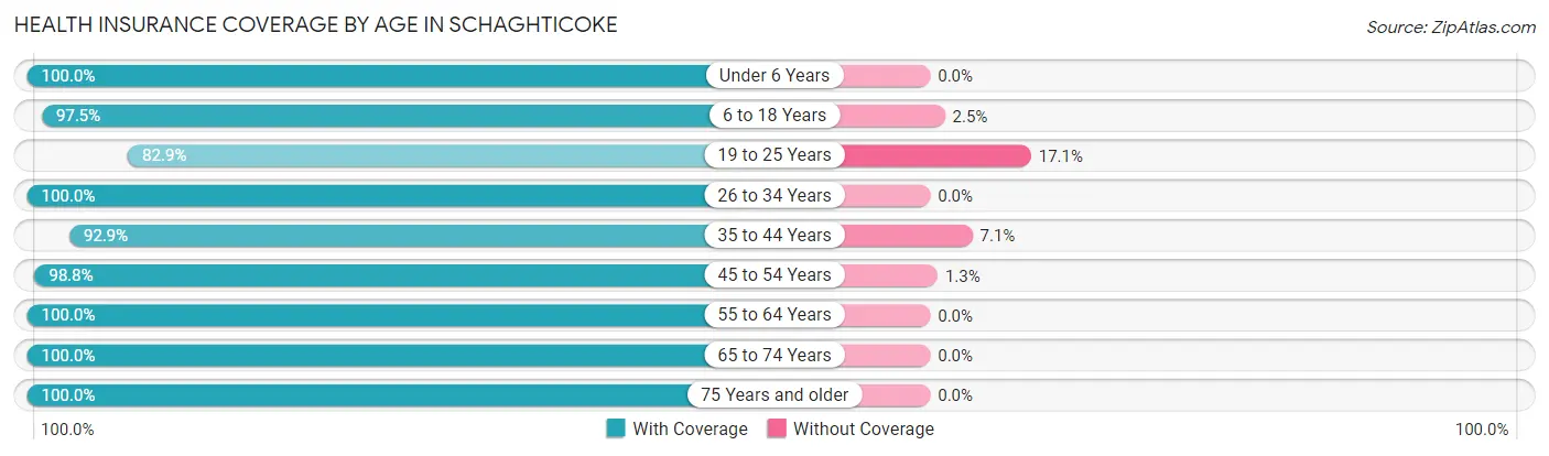 Health Insurance Coverage by Age in Schaghticoke