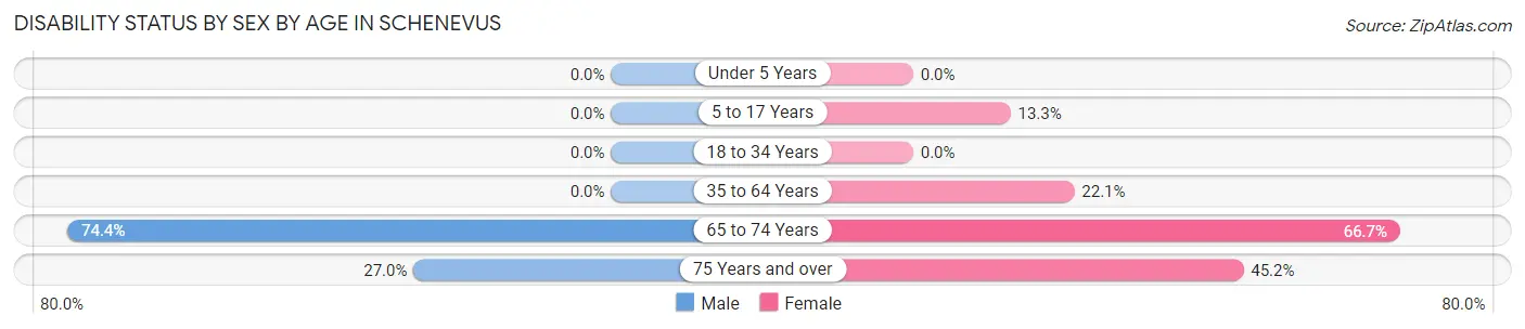 Disability Status by Sex by Age in Schenevus