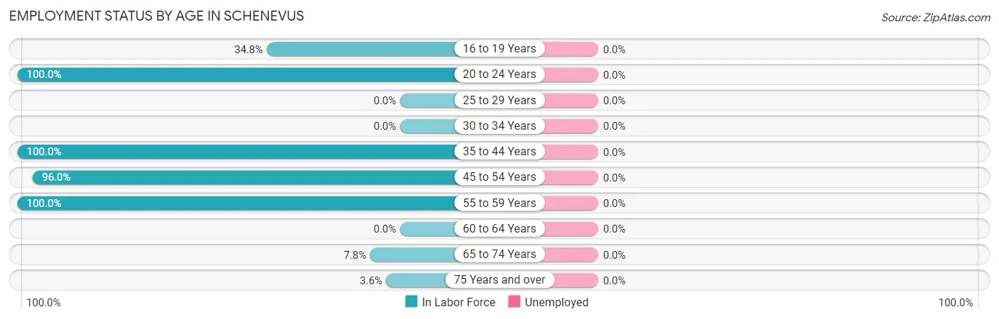 Employment Status by Age in Schenevus