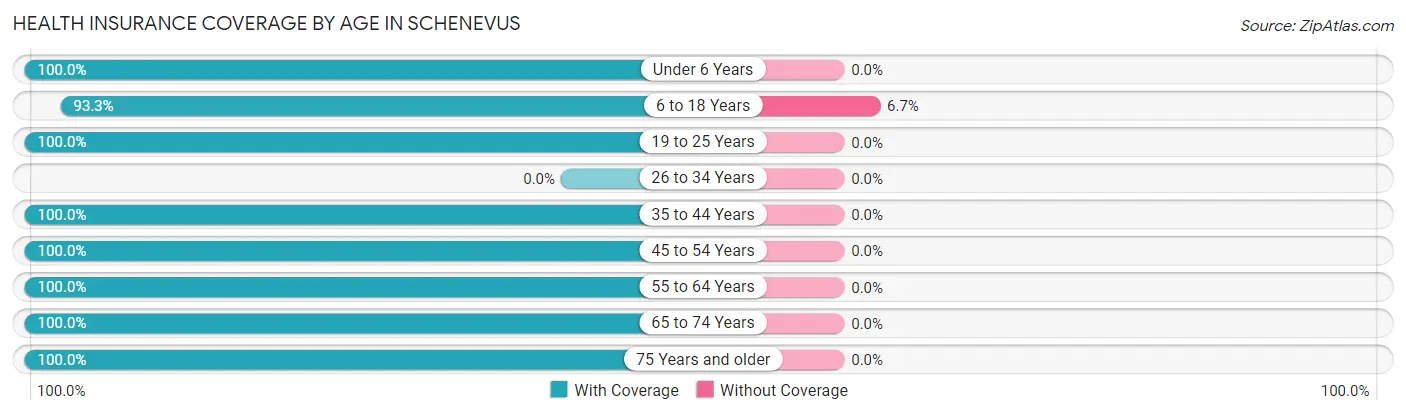 Health Insurance Coverage by Age in Schenevus