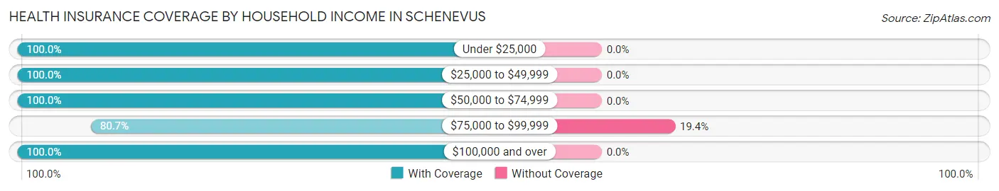 Health Insurance Coverage by Household Income in Schenevus