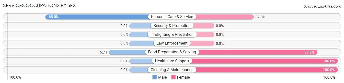 Services Occupations by Sex in Schroon Lake
