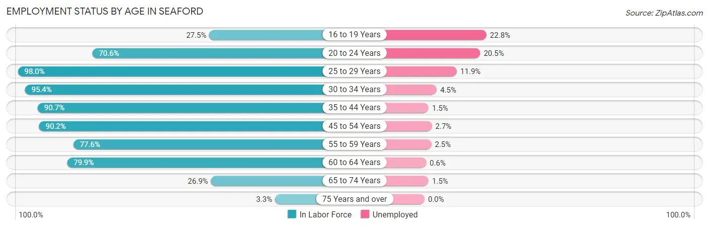 Employment Status by Age in Seaford
