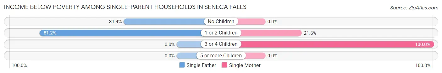 Income Below Poverty Among Single-Parent Households in Seneca Falls