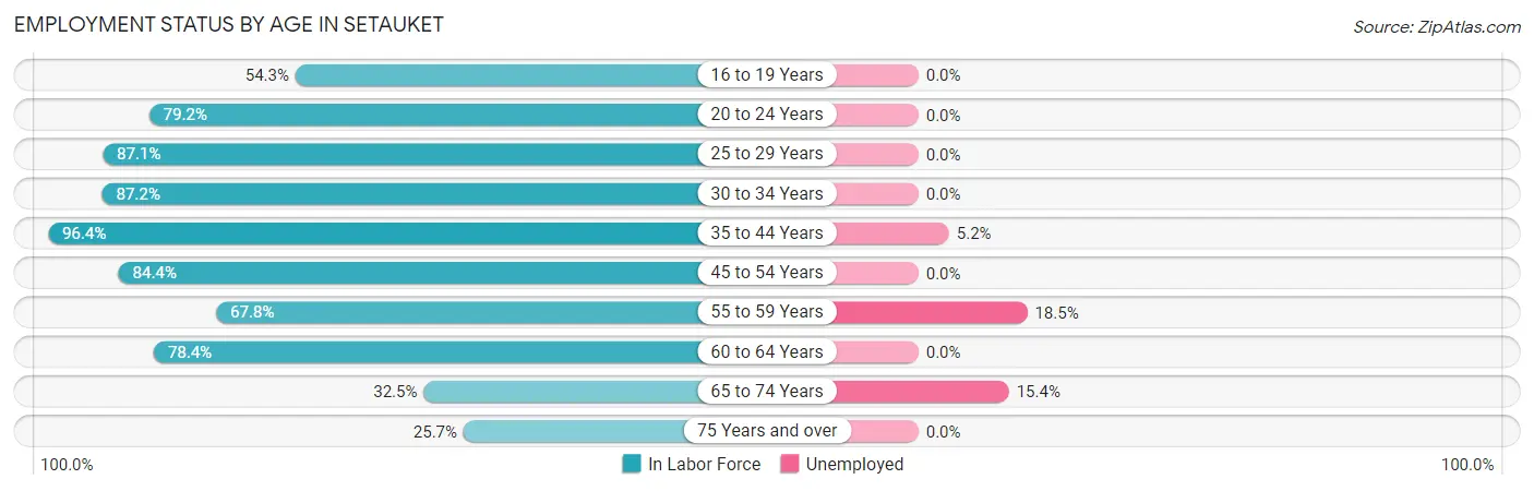 Employment Status by Age in Setauket