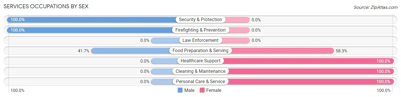 Services Occupations by Sex in Sherburne