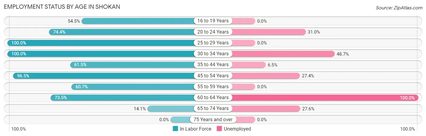Employment Status by Age in Shokan