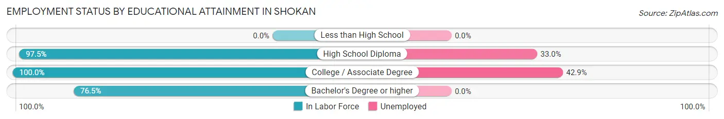 Employment Status by Educational Attainment in Shokan