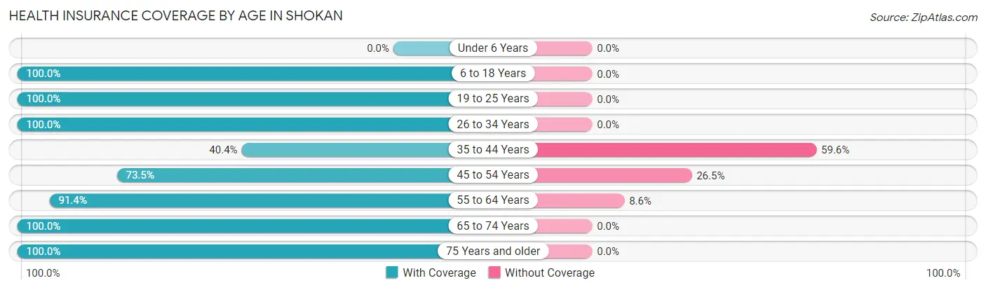 Health Insurance Coverage by Age in Shokan