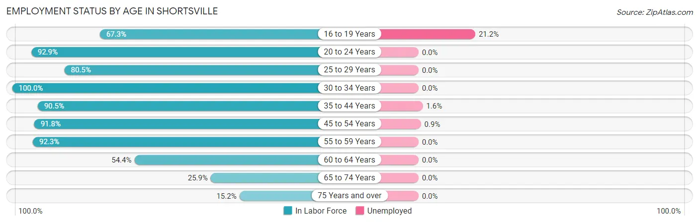 Employment Status by Age in Shortsville