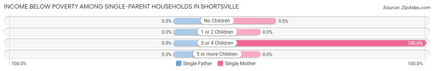 Income Below Poverty Among Single-Parent Households in Shortsville