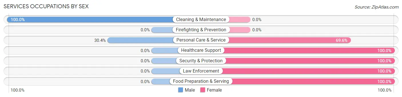 Services Occupations by Sex in Skaneateles