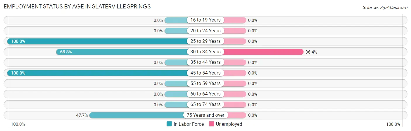 Employment Status by Age in Slaterville Springs
