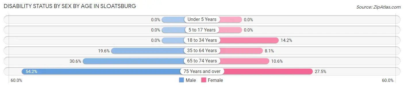 Disability Status by Sex by Age in Sloatsburg