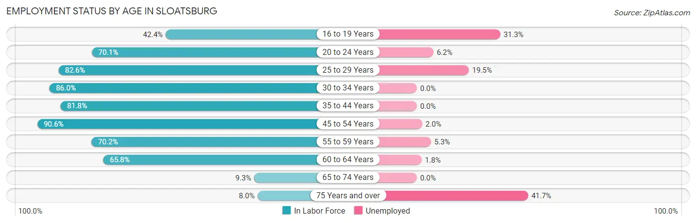 Employment Status by Age in Sloatsburg