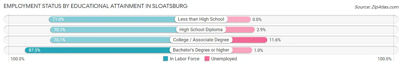 Employment Status by Educational Attainment in Sloatsburg