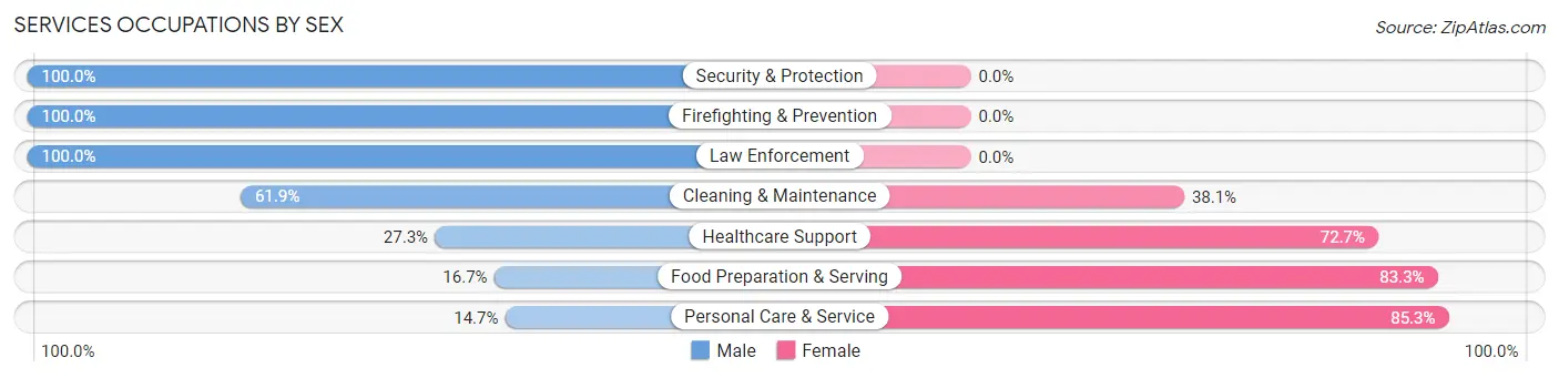 Services Occupations by Sex in Sloatsburg