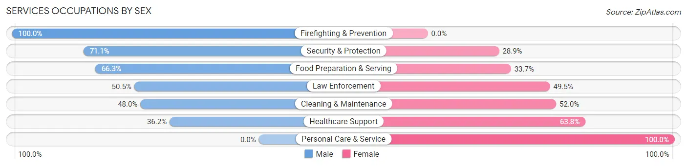 Services Occupations by Sex in Sound Beach