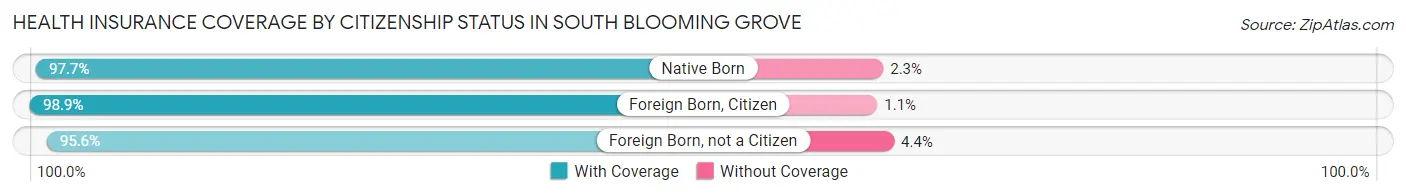 Health Insurance Coverage by Citizenship Status in South Blooming Grove