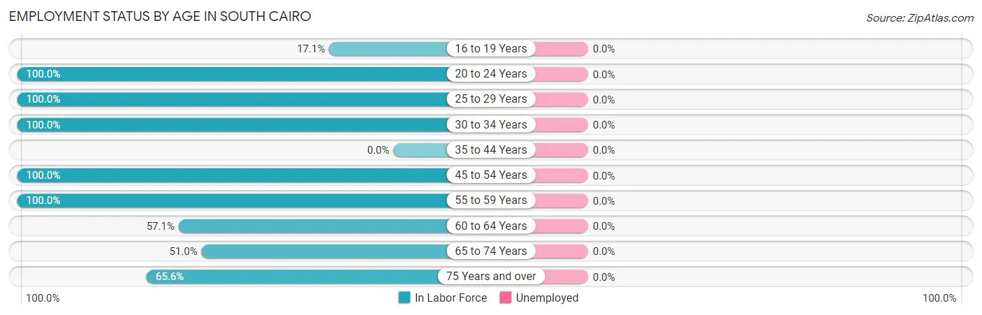 Employment Status by Age in South Cairo
