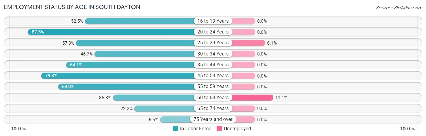 Employment Status by Age in South Dayton