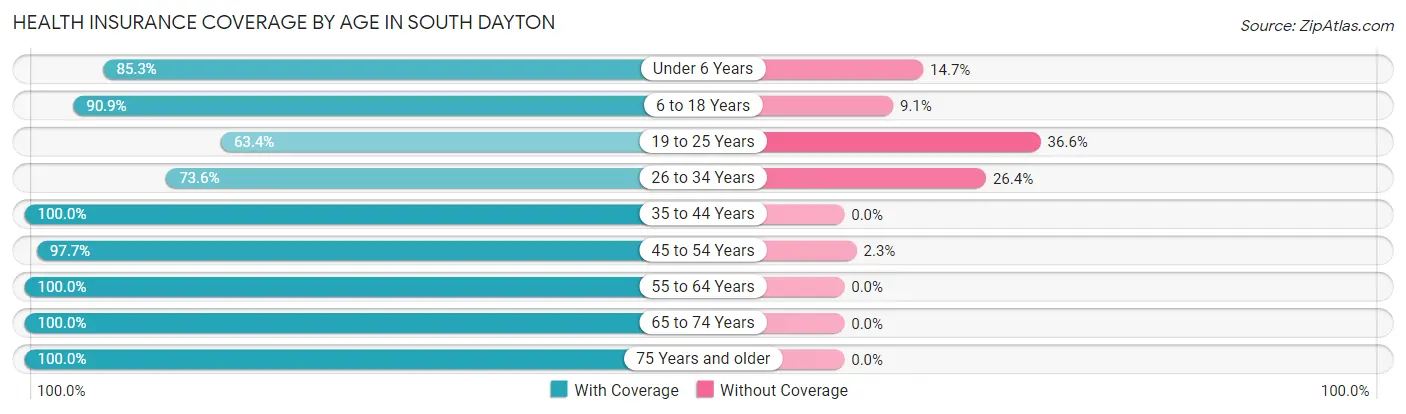 Health Insurance Coverage by Age in South Dayton