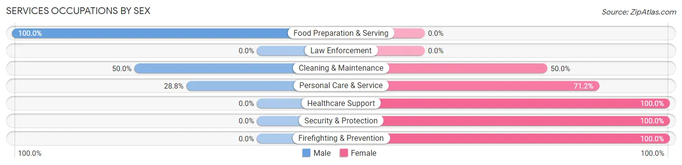 Services Occupations by Sex in Southampton