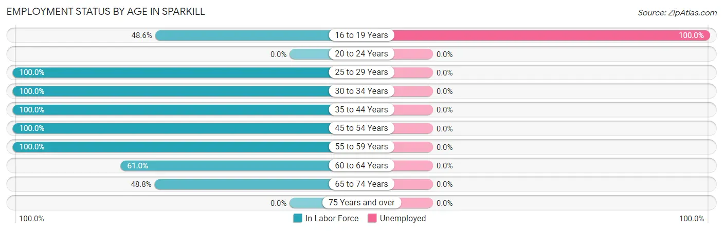 Employment Status by Age in Sparkill