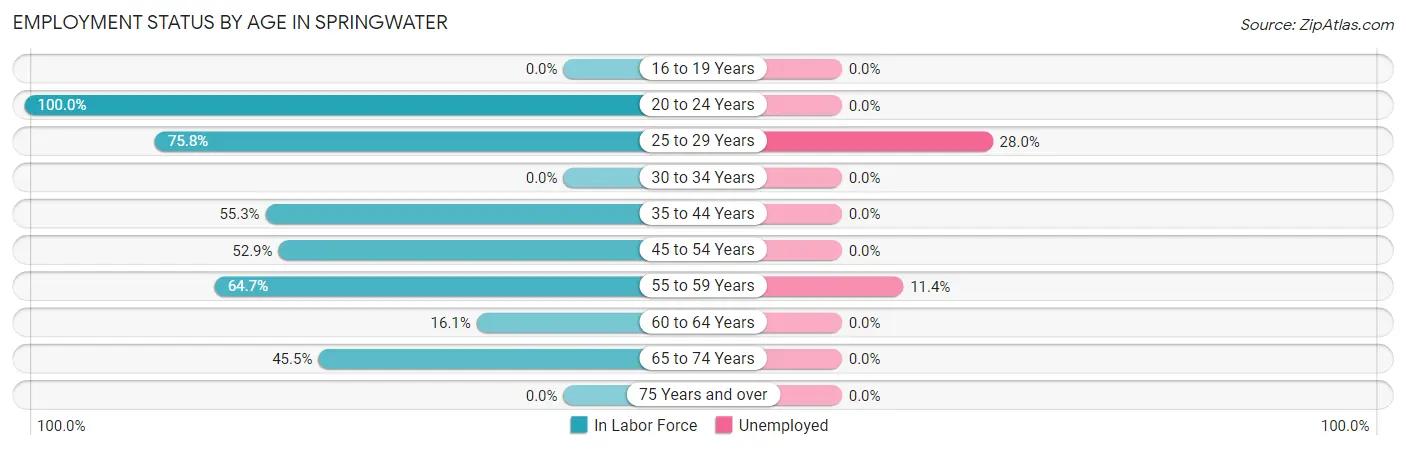Employment Status by Age in Springwater