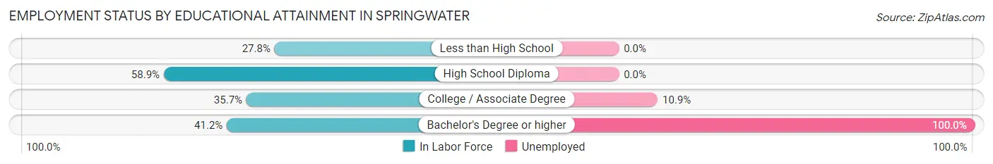 Employment Status by Educational Attainment in Springwater
