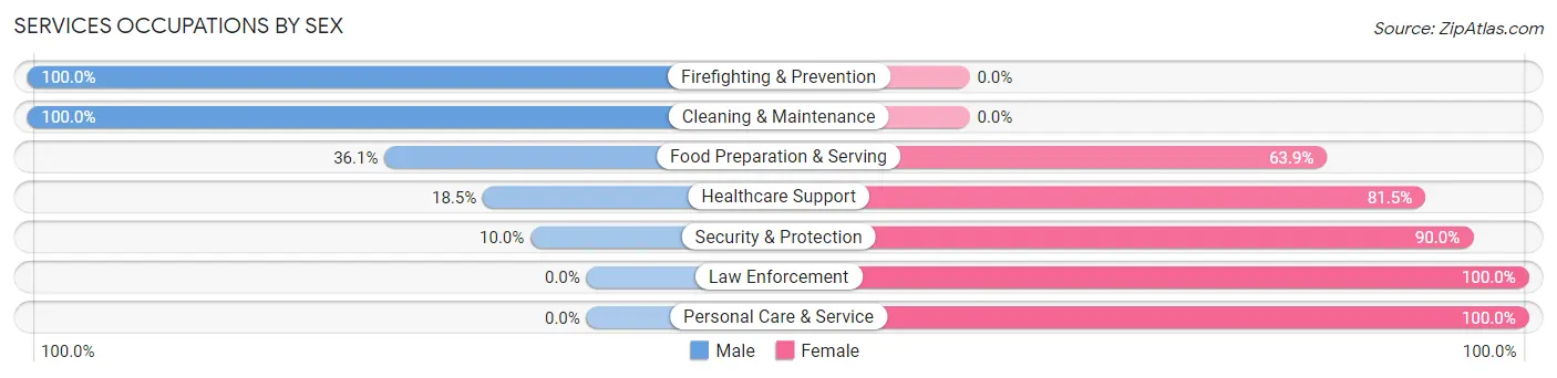 Services Occupations by Sex in St Johnsville