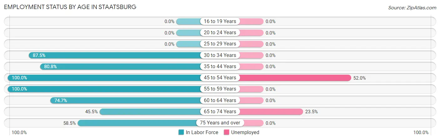 Employment Status by Age in Staatsburg