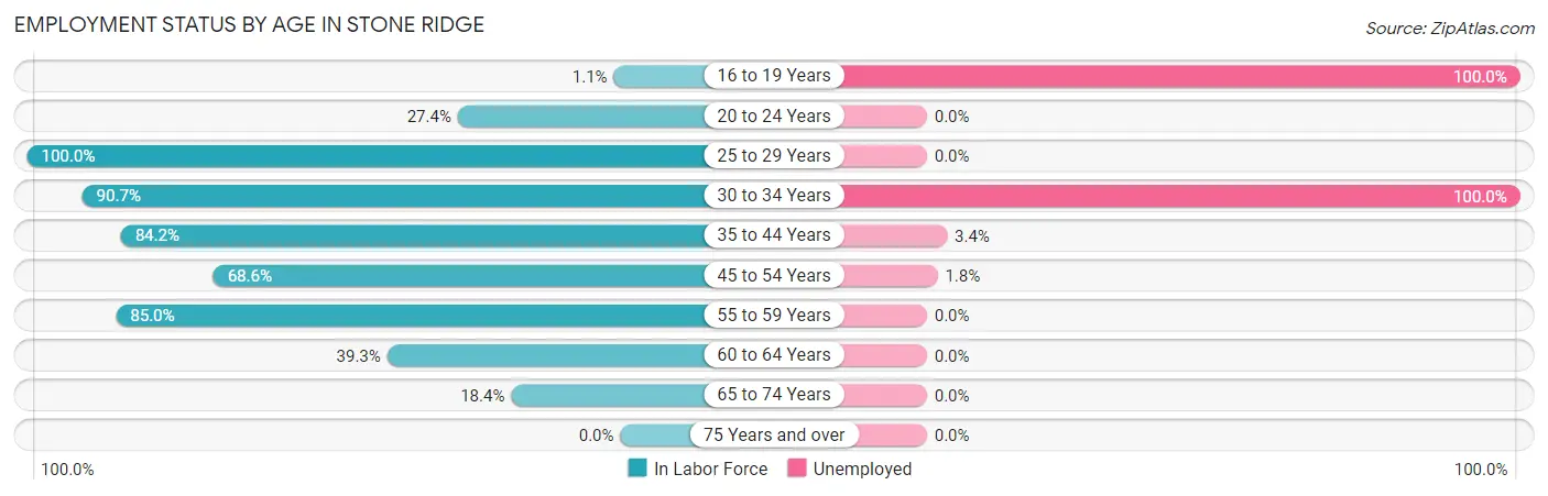 Employment Status by Age in Stone Ridge