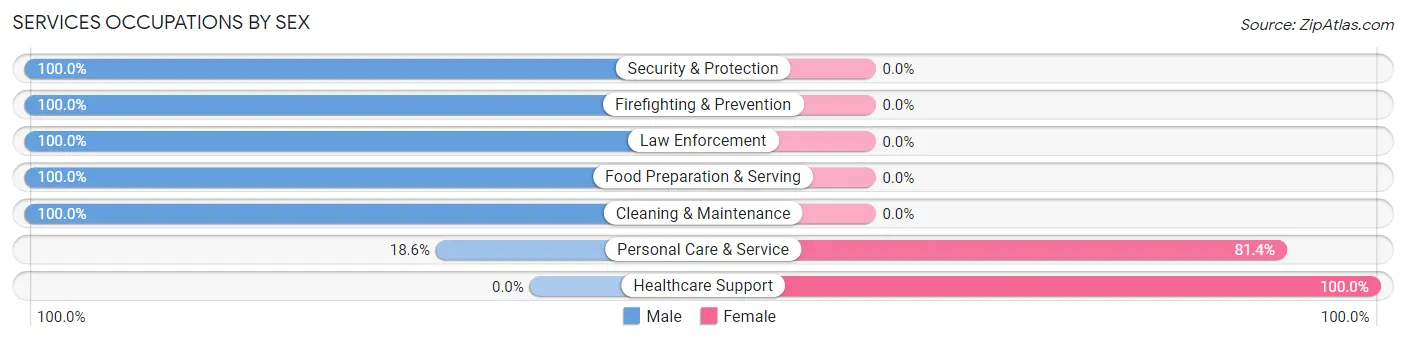 Services Occupations by Sex in Stony Brook