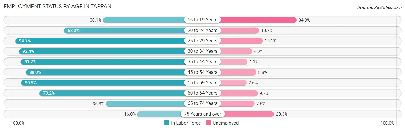 Employment Status by Age in Tappan