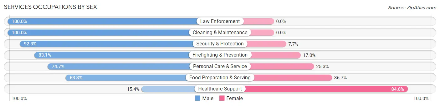 Services Occupations by Sex in Tappan