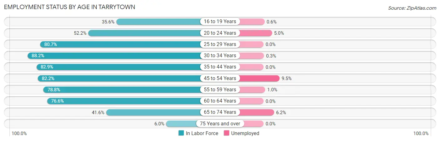 Employment Status by Age in Tarrytown