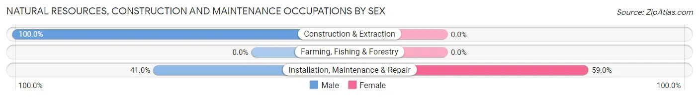 Natural Resources, Construction and Maintenance Occupations by Sex in Tarrytown