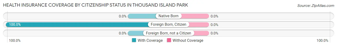 Health Insurance Coverage by Citizenship Status in Thousand Island Park