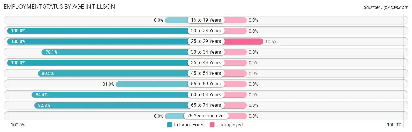 Employment Status by Age in Tillson