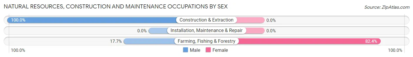 Natural Resources, Construction and Maintenance Occupations by Sex in Tivoli
