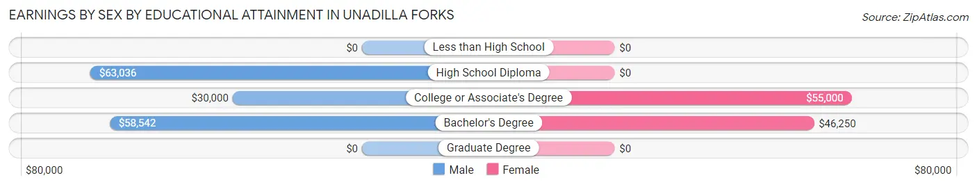 Earnings by Sex by Educational Attainment in Unadilla Forks