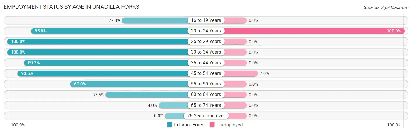 Employment Status by Age in Unadilla Forks
