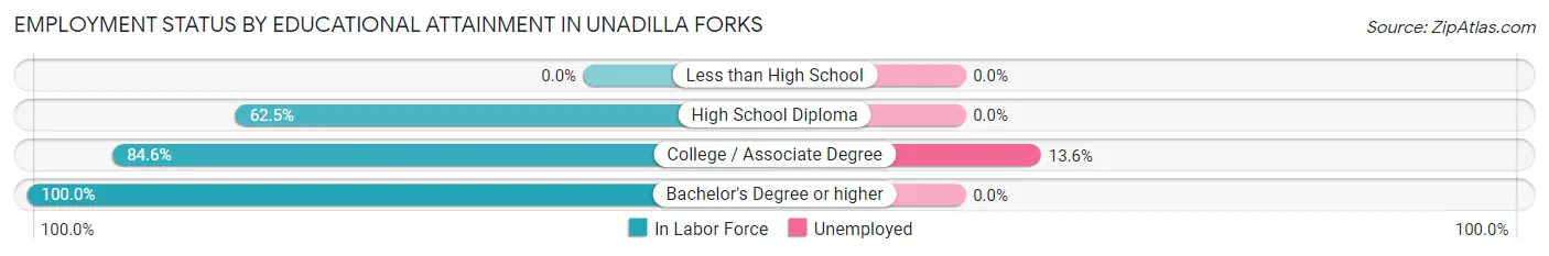 Employment Status by Educational Attainment in Unadilla Forks