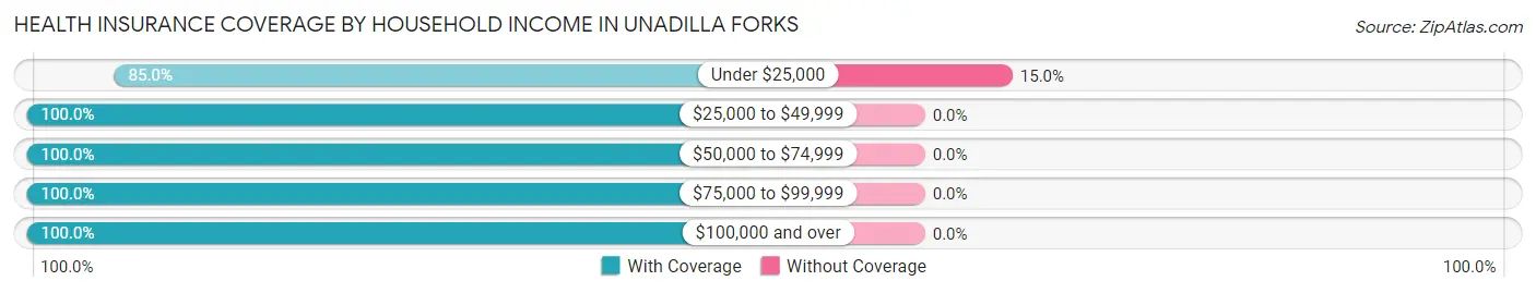 Health Insurance Coverage by Household Income in Unadilla Forks