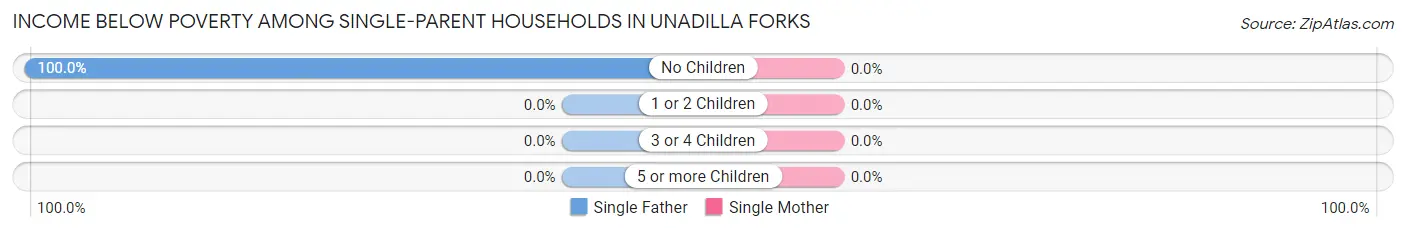 Income Below Poverty Among Single-Parent Households in Unadilla Forks