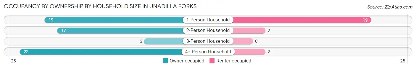 Occupancy by Ownership by Household Size in Unadilla Forks
