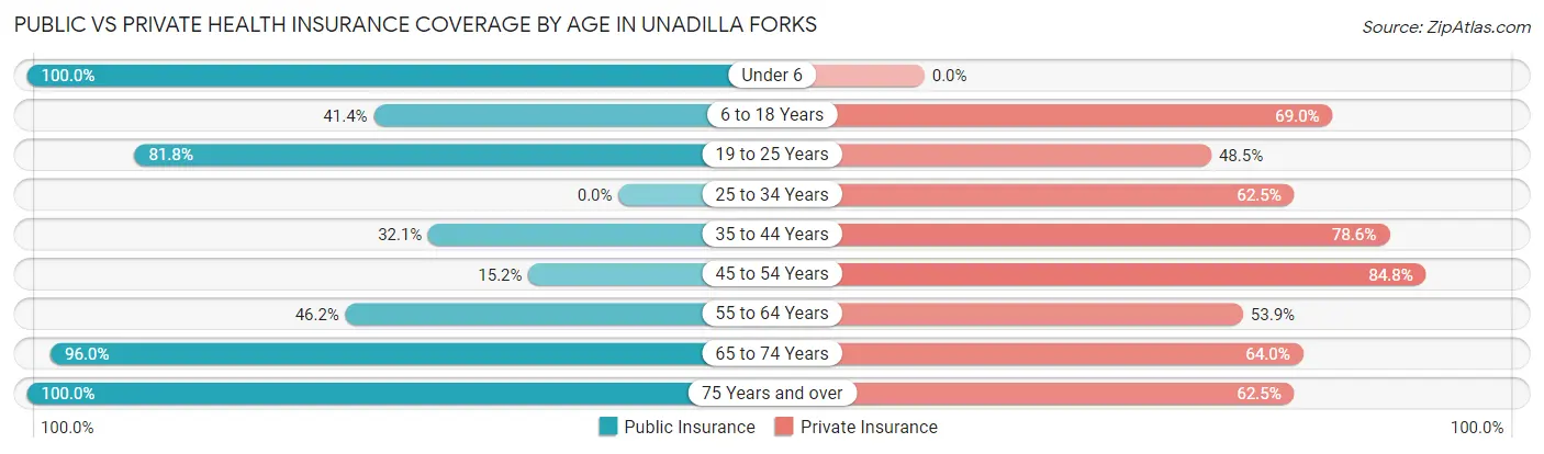 Public vs Private Health Insurance Coverage by Age in Unadilla Forks