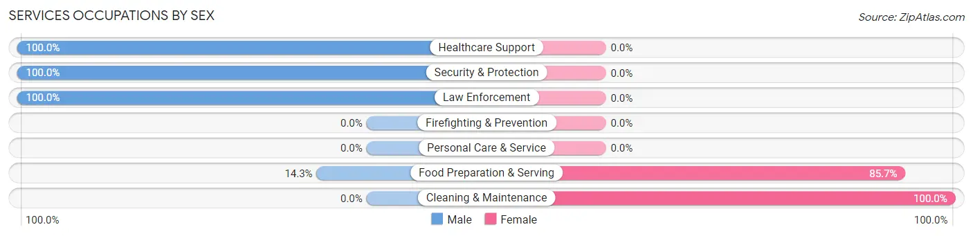 Services Occupations by Sex in Unadilla Forks